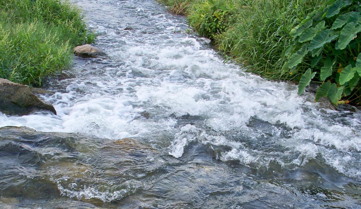 Вода из реки попадает. Вода в реке движется. Река Водгать. Движущаяся река. Фото движущейся воды.